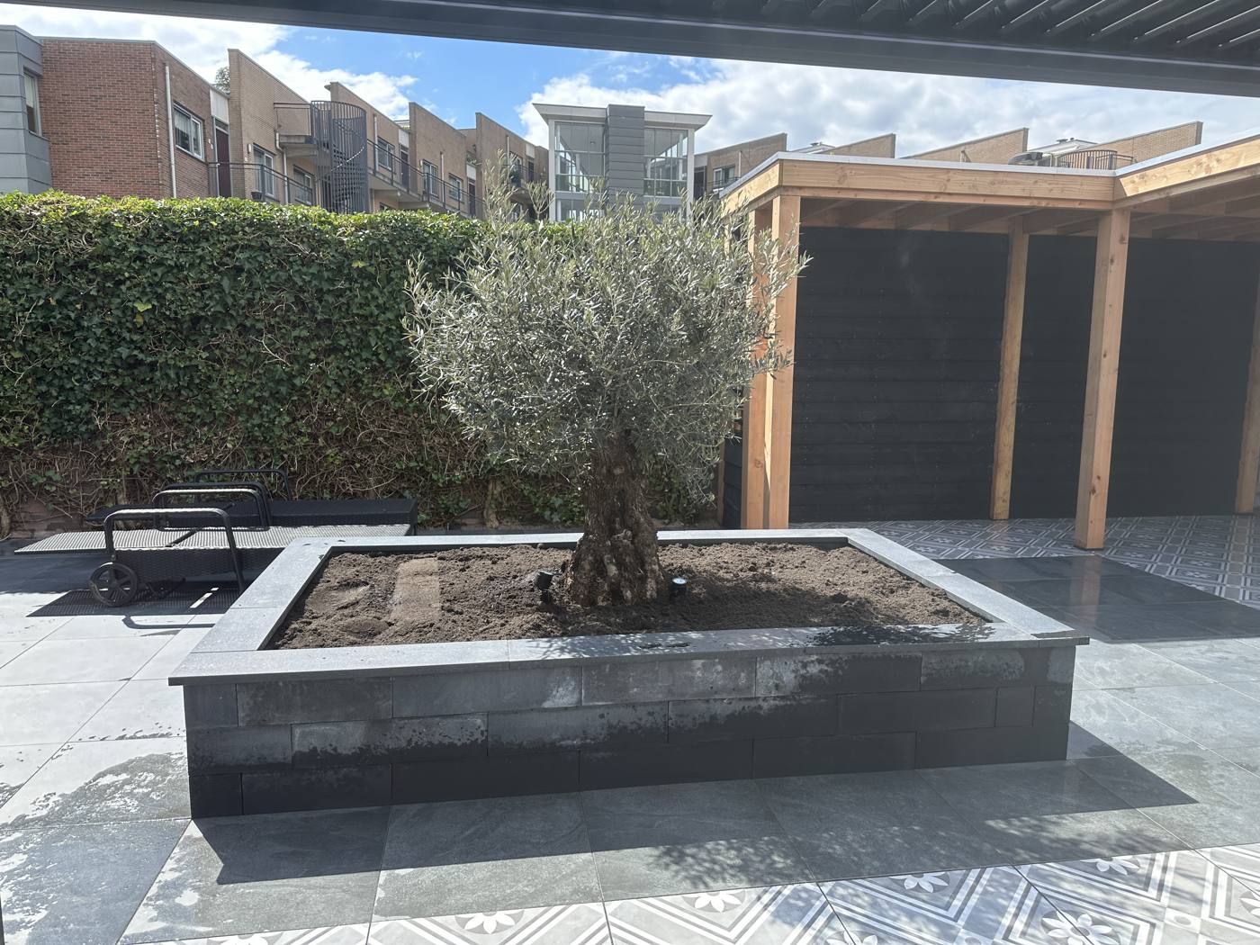 Plantenbakken met olijfboom en beplanting, tuinrenovatie Bergschenhoek